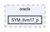 src/test-suite/oracle/SYM_llvm17_p